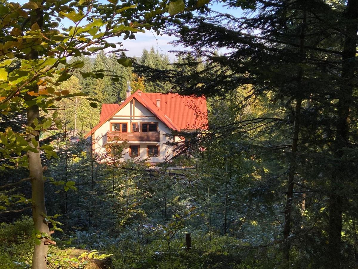 Agroturystyka Sarni Stok Krynica-Zdrój Kültér fotó